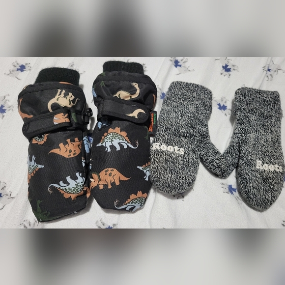 Mittens - Picture 1 of 1